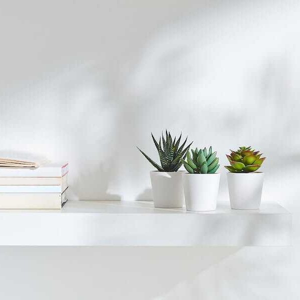 کاکتوس مصنوعی ایکیا مدل FEJKA سه عددی مایکیاهوم 14