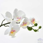 گیاه ارکیده مصنوعی ایکیا مدل FEJKA با گلدان2