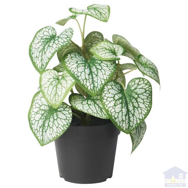 گیاه آگلونما مصنوعی ایکیا مدل FEJKA با گلدان مایکیاهم 1