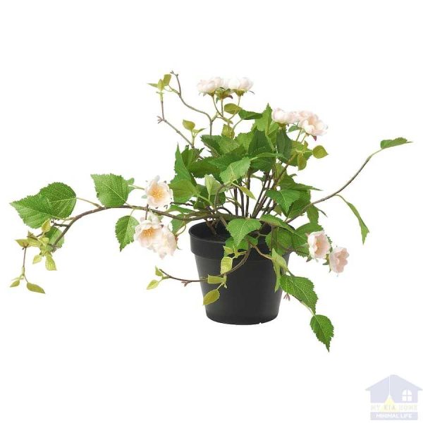 گیاه رز صورتی روشن ایکیا مدل FEJKA با گلدان مایکیاهوم 1