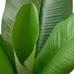 درختچه مصنوعی موز ایکیا مدل FEJKA - Image 3