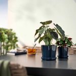 گل مصنوعی آلوکازیا ایکیا مدل FEJKA مایکیاهوم 13