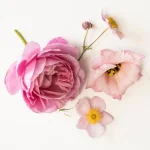 شمع عطری گل ایکیا مدل HOKGOK مایکیاهوم 12