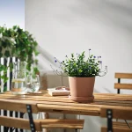 گل مصنوعی یاس بنفش گلدار ایکیا مدل FEJKA مایکیاهوم شاخص