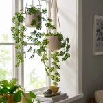 گیاه برگ انجیری آویز ایکیا مدل FEJKA مایکیاهوم شاخص